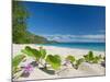South Pacific, Fiji, Kadavu, Deserted Beach on the East Coast of Yaukuve Island-Paul Harris-Mounted Photographic Print