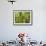 South Pacific, Fiji, Kadavu, Local Fijian Islander Checking His Banana Plantation on Dravuni Island-Paul Harris-Framed Photographic Print displayed on a wall