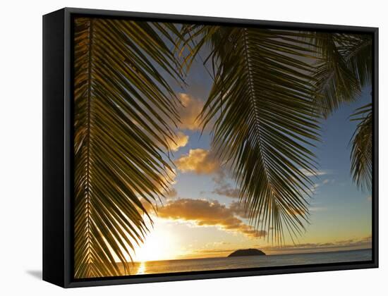 South Pacific, Fiji, Kadavu, Sunset Through Plams from the Beach on Dravuni Island-Paul Harris-Framed Stretched Canvas