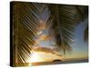 South Pacific, Fiji, Kadavu, Sunset Through Plams from the Beach on Dravuni Island-Paul Harris-Stretched Canvas