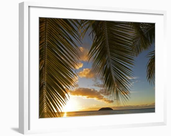 South Pacific, Fiji, Kadavu, Sunset Through Plams from the Beach on Dravuni Island-Paul Harris-Framed Photographic Print