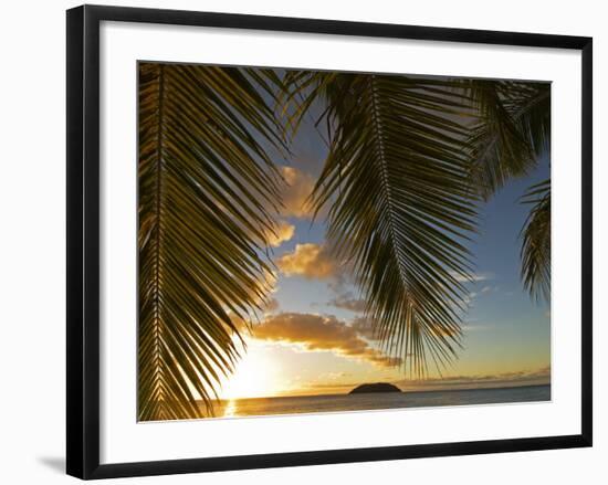 South Pacific, Fiji, Kadavu, Sunset Through Plams from the Beach on Dravuni Island-Paul Harris-Framed Photographic Print