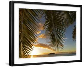 South Pacific, Fiji, Kadavu, Sunset Through Plams from the Beach on Dravuni Island-Paul Harris-Framed Photographic Print