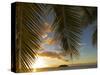 South Pacific, Fiji, Kadavu, Sunset Through Plams from the Beach on Dravuni Island-Paul Harris-Stretched Canvas