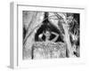 South Pacific, Mitzi Gaynor, 1958-null-Framed Photo