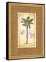 South Palm II-Andrea Laliberte-Framed Stretched Canvas