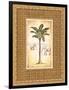 South Palm II-Andrea Laliberte-Framed Art Print