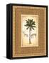 South Palm III-Andrea Laliberte-Framed Stretched Canvas