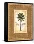 South Palm III-Andrea Laliberte-Framed Stretched Canvas