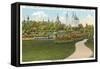 South Park, Buffalo, New York-null-Framed Stretched Canvas