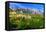 South Part of Crimea Peninsula-Brian K-Framed Stretched Canvas