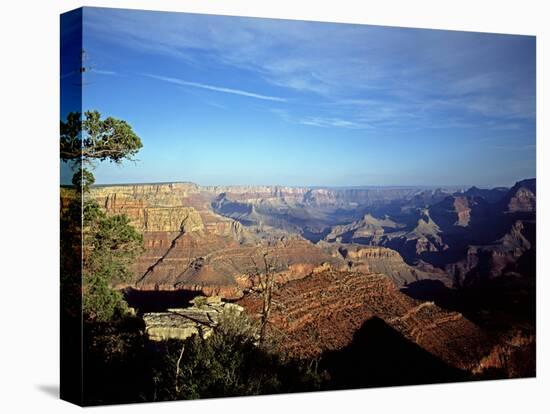 South Rim- Grand Canyon, Arizona-Carol Highsmith-Stretched Canvas