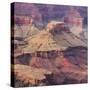 South Rim, Grand Canyon National Park, Arizona, Usa-Rainer Mirau-Stretched Canvas