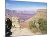 South Rim, Grand Canyon, Unesco World Heritage Site, Arizona, USA-R H Productions-Mounted Photographic Print