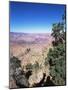 South Rim, Grand Canyon, Unesco World Heritage Site, Arizona, USA-R H Productions-Mounted Photographic Print