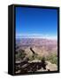 South Rim, Grand Canyon, Unesco World Heritage Site, Arizona, USA-R H Productions-Framed Stretched Canvas