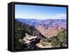 South Rim, Grand Canyon, Unesco World Heritage Site, Arizona, USA-R H Productions-Framed Stretched Canvas