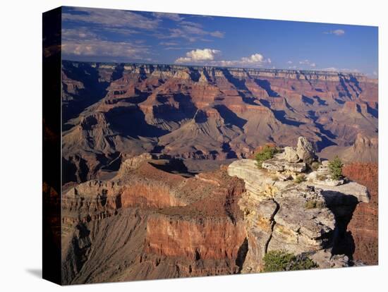 South Rim of Grand Canyon-James Randklev-Stretched Canvas