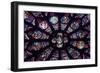 South Rose Window of Notre Dame Cathedral, Paris, Ile-De-France, France-null-Framed Giclee Print