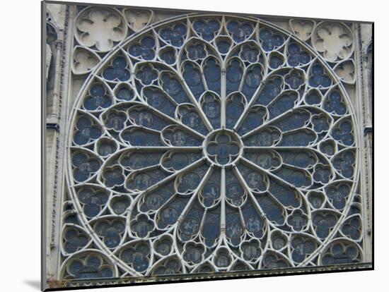 South Rose Window of Notre-Dame, Paris, France-Lisa S^ Engelbrecht-Mounted Premium Photographic Print