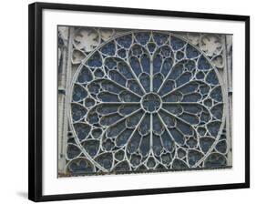 South Rose Window of Notre-Dame, Paris, France-Lisa S^ Engelbrecht-Framed Photographic Print