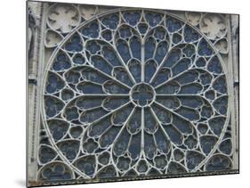 South Rose Window of Notre-Dame, Paris, France-Lisa S^ Engelbrecht-Mounted Photographic Print