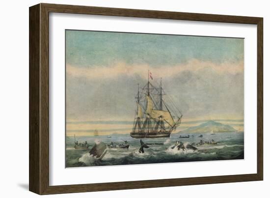 South Sea Whale Fishery, 1825-Thomas Sutherland-Framed Giclee Print