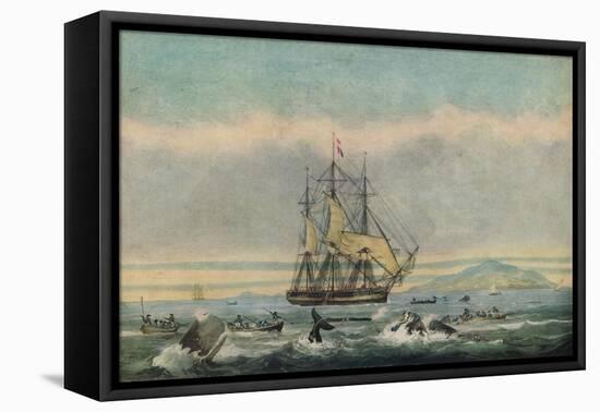 South Sea Whale Fishery, 1825-Thomas Sutherland-Framed Stretched Canvas