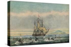 South Sea Whale Fishery, 1825-Thomas Sutherland-Stretched Canvas