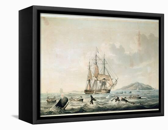 South Sea Whale Fishery, Engraved by T. Sutherland, 1825-William John Huggins-Framed Stretched Canvas