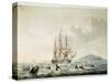 South Sea Whale Fishery, Engraved by T. Sutherland, 1825-William John Huggins-Stretched Canvas