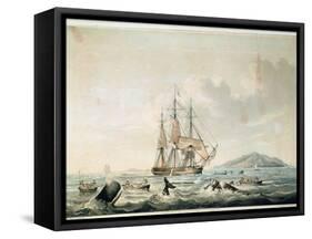 South Sea Whale Fishery, Engraved by T. Sutherland, 1825-William John Huggins-Framed Stretched Canvas