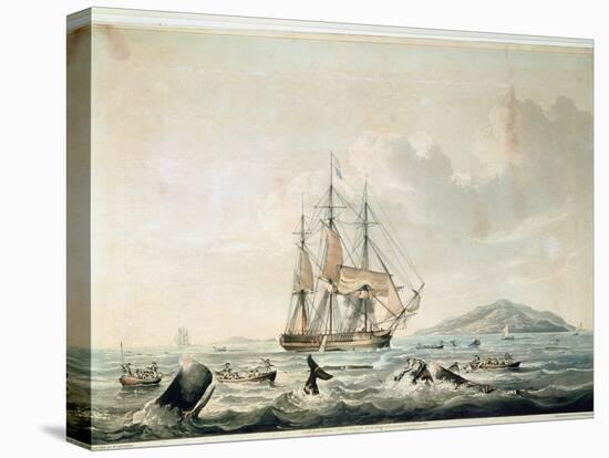 South Sea Whale Fishery, Engraved by T. Sutherland, 1825-William John Huggins-Stretched Canvas