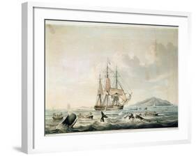 South Sea Whale Fishery, Engraved by T. Sutherland, 1825-William John Huggins-Framed Giclee Print