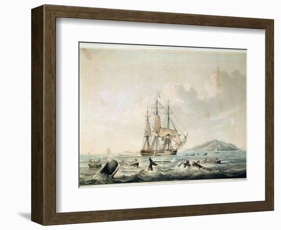 South Sea Whale Fishery, Engraved by T. Sutherland, 1825-William John Huggins-Framed Giclee Print