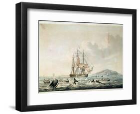 South Sea Whale Fishery, Engraved by T. Sutherland, 1825-William John Huggins-Framed Giclee Print