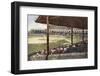 South Side Ball Park, Chicago-null-Framed Photographic Print