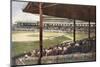 South Side Ball Park, Chicago-null-Mounted Photographic Print