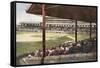 South Side Ball Park, Chicago-null-Framed Stretched Canvas