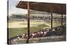 South Side Ball Park, Chicago-null-Stretched Canvas