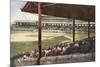 South Side Ball Park, Chicago-null-Mounted Photographic Print