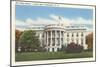 South Side, White House, Washington, D.C.-null-Mounted Art Print