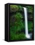 South Silver Falls-Darrell Gulin-Framed Stretched Canvas