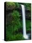 South Silver Falls-Darrell Gulin-Stretched Canvas