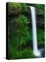 South Silver Falls-Darrell Gulin-Stretched Canvas