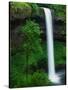 South Silver Falls-Darrell Gulin-Stretched Canvas