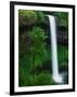 South Silver Falls-Darrell Gulin-Framed Photographic Print