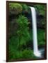 South Silver Falls-Darrell Gulin-Framed Photographic Print