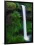 South Silver Falls-Darrell Gulin-Framed Photographic Print