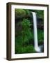 South Silver Falls-Darrell Gulin-Framed Photographic Print